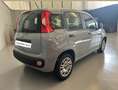 Fiat Panda easy varie panda a disposizione no vincoli - thumbnail 2