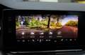 Skoda Octavia 2.0 TSI Combi RS/AHK/DCC/HUD/ACC/1 HAND/ Schwarz - thumbnail 19