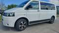 Volkswagen T5 Multivan Multivan DSG Weiß - thumbnail 3