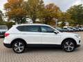 SEAT Tarraco Xcellence 2.0 TDI °BEATS°AHK°PANO°StdHz° Weiß - thumbnail 4