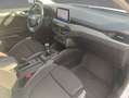 Ford Focus Turnier 1.5 Diesel COOL&CONNECT Winterp. Blanc - thumbnail 19