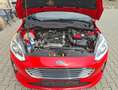 Ford Fiesta Titanium Winterpaket 55 kW (75 PS), Schalt. 5-G... Rojo - thumbnail 10