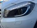Mercedes-Benz A 200 d 4Matic Aut. PANORAMA/XENON/LEDER/NAVI/LM Blanco - thumbnail 40