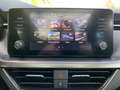 Skoda Scala 1.0 TSI Style PANORAMA+SHZ+PDC+KLIMA+LED Blau - thumbnail 17