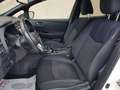 Nissan Leaf II 2018 3.Zero 40kWh 150cv White - thumbnail 12