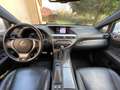 Lexus RX 450h RX 450h 3.5 F-Sport cvt Bílá - thumbnail 12