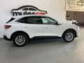 Ford Kuga 2.0TDCi Auto S&S Titanium Limited Edition 4x2 150 Blanc - thumbnail 8