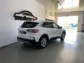 Ford Kuga 2.0TDCi Auto S&S Titanium Limited Edition 4x2 150 Blanc - thumbnail 7