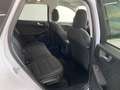 Ford Kuga 2.0TDCi Auto S&S Titanium Limited Edition 4x2 150 Blanc - thumbnail 4