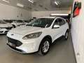 Ford Kuga 2.0TDCi Auto S&S Titanium Limited Edition 4x2 150 Blanc - thumbnail 10