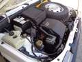 Fiat Panda Panda  1.1 Trekking 4x4 Bianco - thumbnail 12