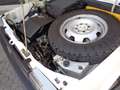 Fiat Panda Panda  1.1 Trekking 4x4 Bianco - thumbnail 13