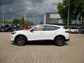 CUPRA Formentor 2.0 TDI DSG AHK+LED+ACC+NAVI+KAMERA Weiß - thumbnail 9