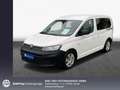 Volkswagen Caddy Caddy 2.0 TDI BMT (5-Si.) DSG Caddy,AHK,Cl Blanc - thumbnail 1