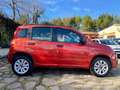 Fiat Panda natural power MOTORE SOSTITUITO GARANZIA 12 MESI Orange - thumbnail 4