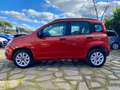 Fiat Panda natural power MOTORE SOSTITUITO GARANZIA 12 MESI Orange - thumbnail 7