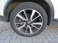 Nissan X-Trail X-Trail 1.7 dCi Xtronic Tekna 7 PLAATSEN Weiß - thumbnail 5