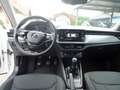 Skoda Kamiq Ambition TSI**Nur 42.000KM**LED**TOP Weiß - thumbnail 13