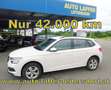 Skoda Kamiq Ambition TSI**Nur 42.000KM**LED**TOP Weiß - thumbnail 1
