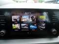 Skoda Kamiq Ambition TSI**Nur 42.000KM**LED**TOP Weiß - thumbnail 29