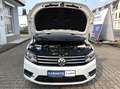 Volkswagen Caddy Maxi 2.0TDI Comfortline *Navi*AHK* Weiß - thumbnail 12