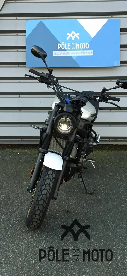 Yamaha XSR 700 Gris - 2