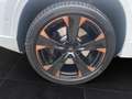 CUPRA Ateca 2.0 4Drive *Pano*AHK*Beats*Winter*Navi*LED* Weiß - thumbnail 12