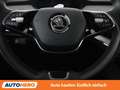 Skoda Enyaq iV 80 Loft Grau - thumbnail 19