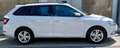 Skoda Fabia Fabia Combi Ambition 1,0 TSI Ambition Weiß - thumbnail 1