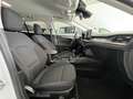 Ford Focus Turnier 1,5 EcoBlue FACELIFT/TITANIUM X Weiß - thumbnail 10