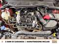 Ford Fiesta active 1.0 ecoboost h x 125cv Rojo - thumbnail 13