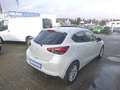Mazda 2 SKYACTIV-G 90 1. Hand, Navi, Winterräder, TÜV NEU! Weiß - thumbnail 4