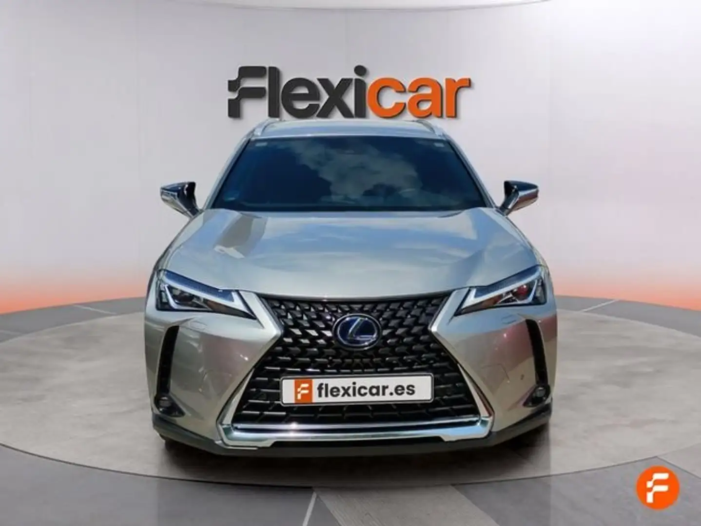 Lexus UX 250h Executive Navigation 2WD Gris - 2