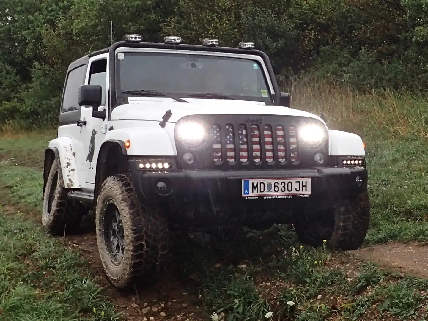 Jeep Wrangler Wrangler 3,6 V6 Sahara Aut. Sahara Weiß - 1