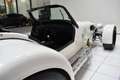 Donkervoort D8 DONKERVOORT  D8 Cosworth Wit - thumbnail 20