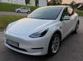 Tesla Model Y Model Y Long Range AWD 75kWh Weiß - thumbnail 1