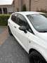 SEAT Ibiza 1.2 TSI Style Wit - thumbnail 3