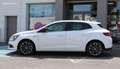Renault Megane Mégane 1.2 TCE 100ch ENERGY LIMITED CARPLAY Blanc - thumbnail 8