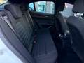 Alfa Romeo Stelvio Stelvio MY22 2.2 t Super Q4 190cv auto Wit - thumbnail 13