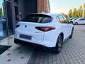 Alfa Romeo Stelvio Stelvio MY22 2.2 t Super Q4 190cv auto Wit - thumbnail 3