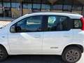 Fiat Panda Panda III 2012 0.9 t.air t. natural power k way - thumbnail 3
