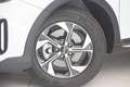 Kia XCeed Xceed 1,0 TGDI GPF Silber Weiß - thumbnail 2