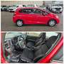 Honda Jazz Trend Klima 1Hand Bremsassistent Euro6 Rot - thumbnail 21