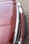 Jaguar Daimler Super V8 Langversion  2 Jahre Garantie Rojo - thumbnail 22