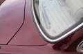 Jaguar Daimler Super V8 Langversion  2 Jahre Garantie Rojo - thumbnail 20