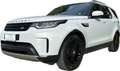 Land Rover Discovery V 2.0sd4 HSE LUXURY 7p Auto Motore Nuovo UFFICIALE Bianco - thumbnail 1