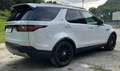 Land Rover Discovery V 2.0sd4 HSE LUXURY 7p Auto Motore Nuovo UFFICIALE Bianco - thumbnail 7