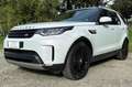 Land Rover Discovery V 2.0sd4 HSE LUXURY 7p Auto Motore Nuovo UFFICIALE Weiß - thumbnail 2