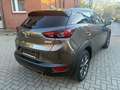 Mazda CX-3 2.0 SKYACTIV-G 121 Exclusive-Line FWD ACAA Grau - thumbnail 12