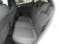 Ford Fiesta 1.5 EcoBlue 5p. Titanium -OK NEOPATEN.- DA VETRINA Blanco - thumbnail 12